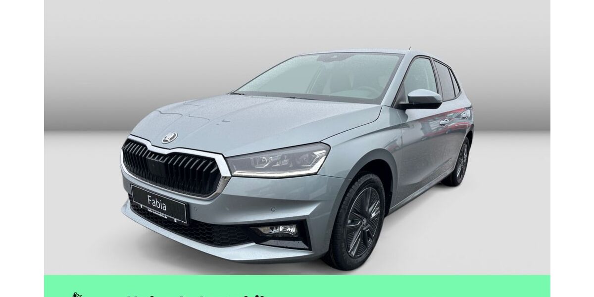Skoda Fabia 2.500 km 22.890 &euro; Weinstadt-Endersbach 71384