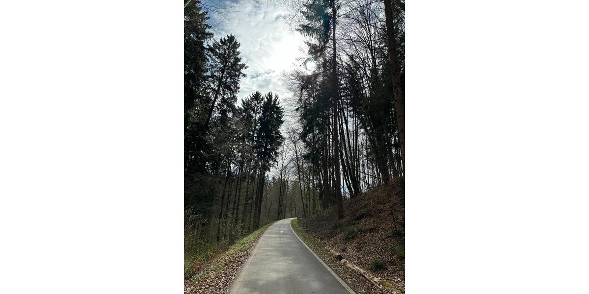 Etagenwohnung Leinfelden-Echterdingen Echterdingen - 4 Zimmer, 83 m&sup2;, 1.550&euro; | Angebot:26256421