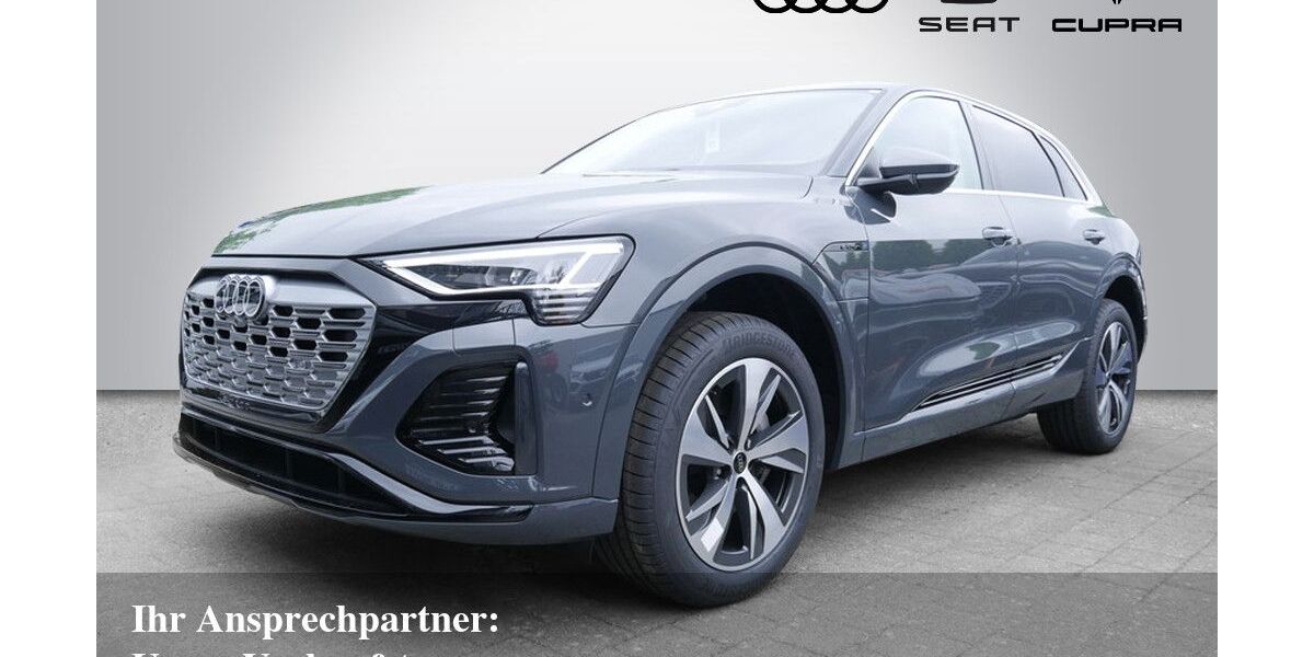 Audi Q8 e-tron 8.500 km 47.430 € Bietigheim-Bissingen 74321