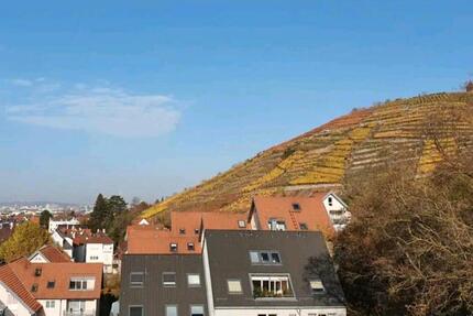 3 Zimmer Wohnung 3 zimmer