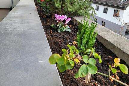 Sehr gepflegte und moderne Wohnung in Asperg 3 zimmer