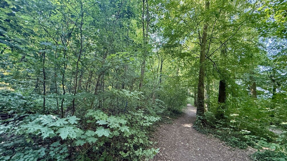 Großzügiges Reiheneckhaus in traumhafter und idyllischer Naturumgebung - Einfamilienhaus Remseck Hochberg Hochberg | Angebot:27296102