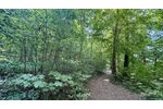 Großzügiges Reiheneckhaus in traumhafter und idyllischer Naturumgebung - Einfamilienhaus Remseck Hochberg Hochberg | Angebot:27296102