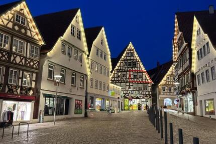 3-Zimmer Wohnung 2. OG Leonberg 3 zimmer