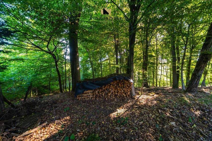 ** Unberührte Natur in bester Lage - 5 Grundstücke **