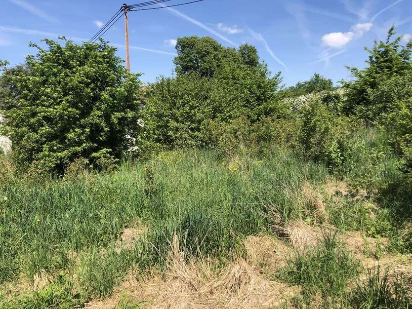 Grundstück zu verkaufen in Reudern 220.000 € 275 m²