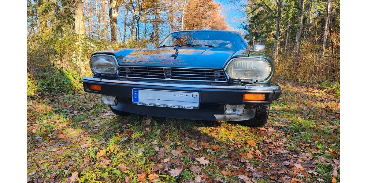 Jaguar XJS 116.000 km 18.500 &euro; Böblingen 71032