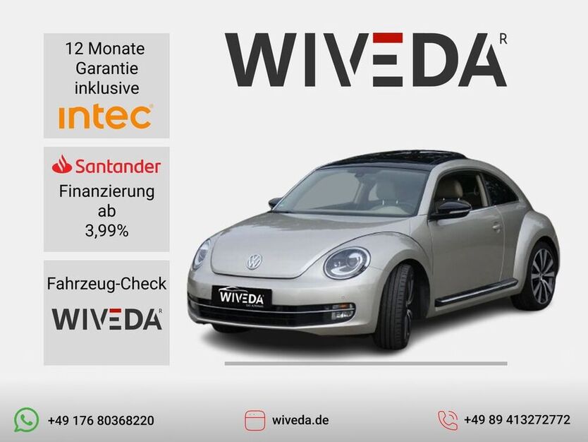 Beetle