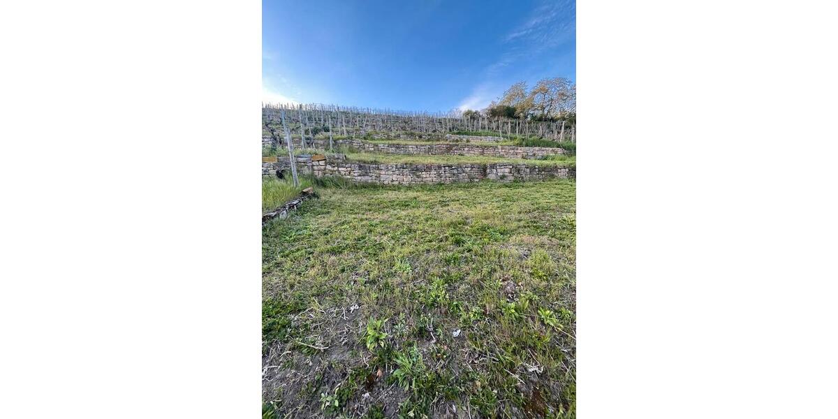 Grundstück Stuttgart Bad Cannstatt - 25&euro; | Angebot:26101804