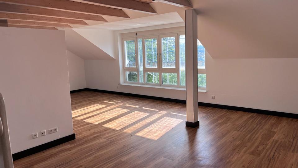 Großartige DG-Wohnung. Balkon. Dachterrasse.Spektakuläre Aussicht 2 zimmer