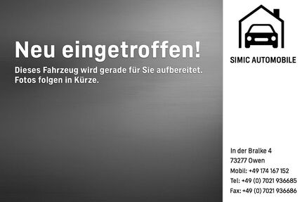 VW Golf 100.000 km 10.999 &euro; Owen 73277