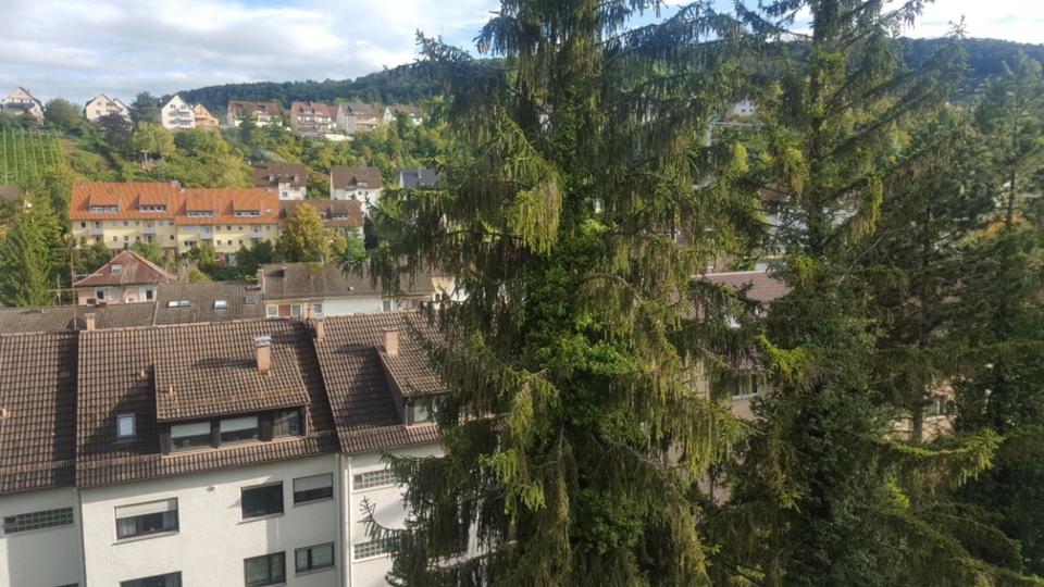 Dachgeschoßwohnung Stuttgart Stuttgart-Ost - 2 Zimmer, 35 m&sup2;, 650&euro; | Angebot:25163231