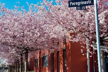 Wohnung Stuttgart Degerloch - 3 Zimmer, 105 m&sup2;, 2.200&euro; | Angebot:25080089