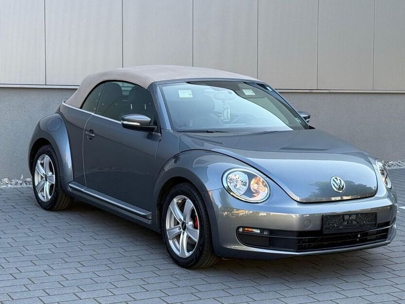 Beetle