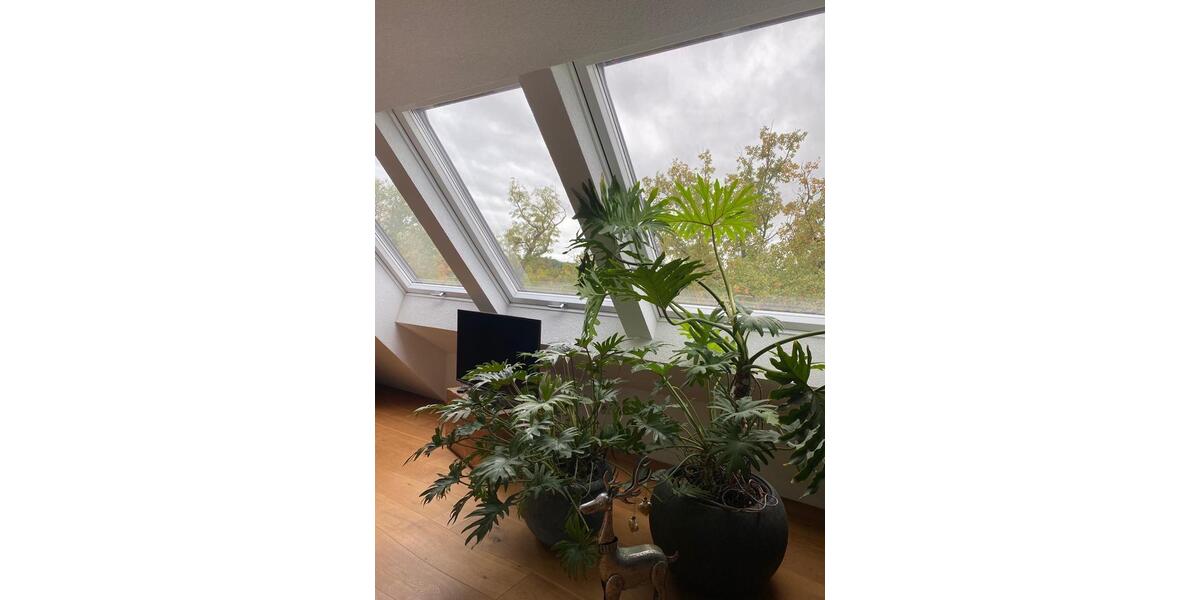 Maisonettenwohnung Filderstadt - 3.5 Zimmer, 101 m&sup2;, 1.350&euro; | Angebot:26267571