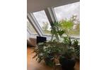 Maisonettenwohnung Filderstadt - 3.5 Zimmer, 101 m&sup2;, 1.350&euro; | Angebot:26267571