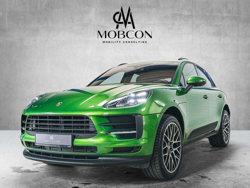 Macan