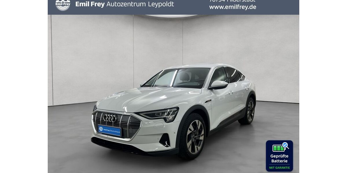 Audi e-tron 75.040 km 23.890 &euro; Filderstadt 70794