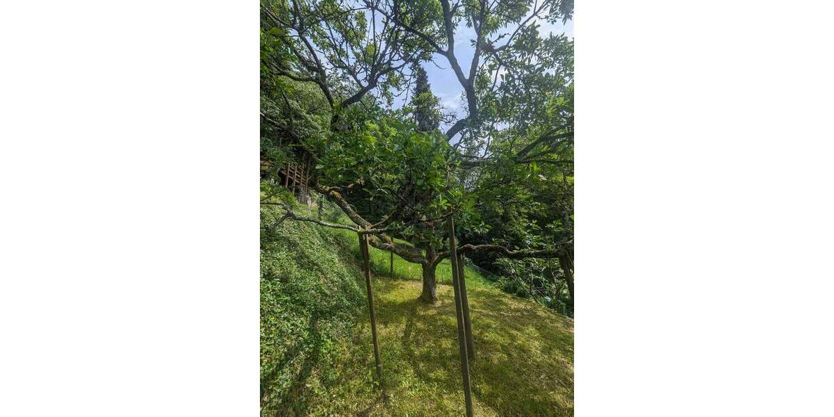 Grundstück Remshalden Geradstetten - 55.000&euro; | Angebot:25374646