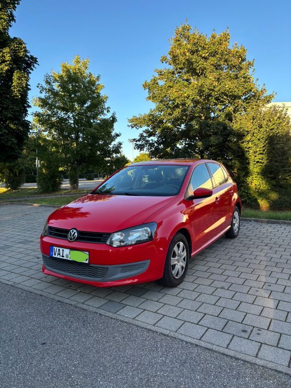 Polo