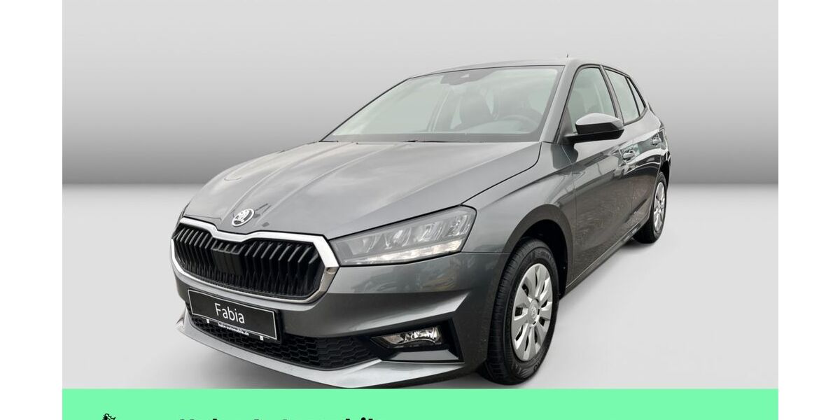 Skoda Fabia 1.111 km 21.690 &euro; Weinstadt-Endersbach 71384