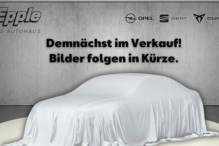 Cupra Raval 4.990 km 39.990 &euro; Rutesheim 71277