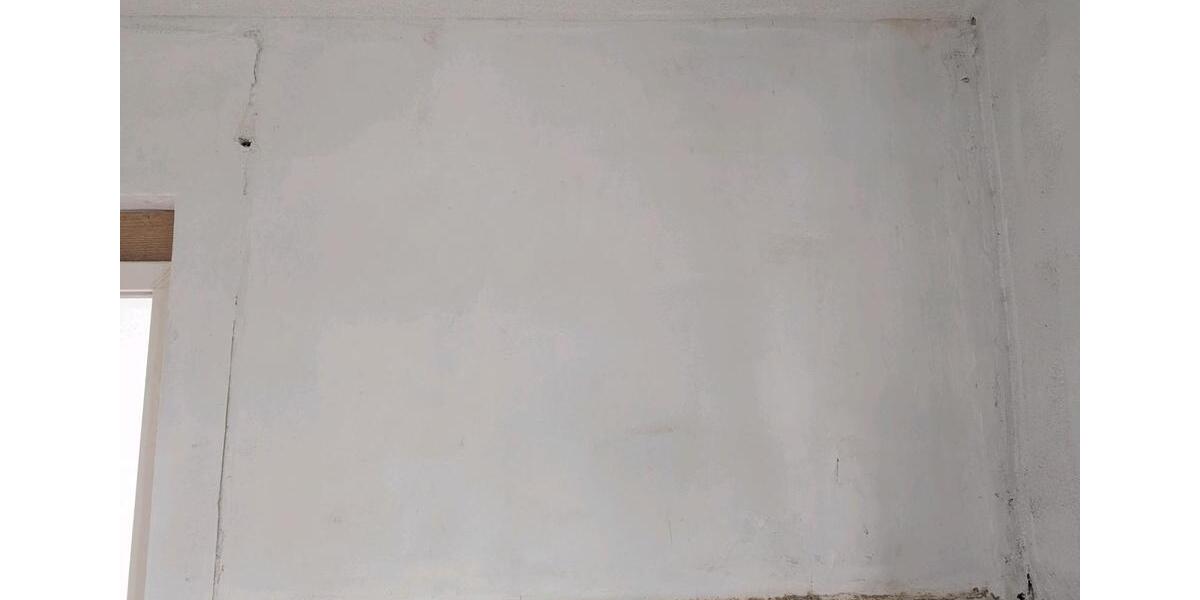 Erdgeschoßwohnung Tamm - 2.5 Zimmer, 60 m&sup2;, 800&euro; | Angebot:25231303