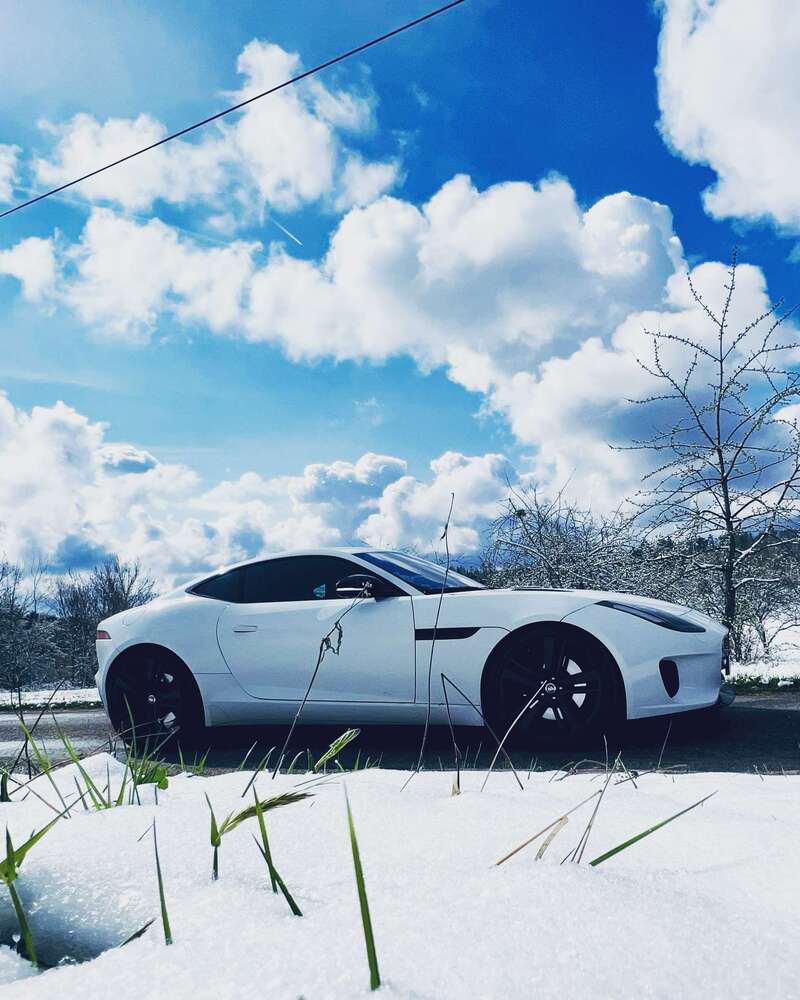 F-Type