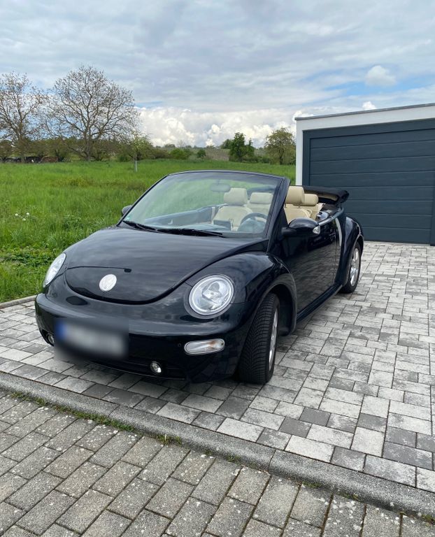 Beetle