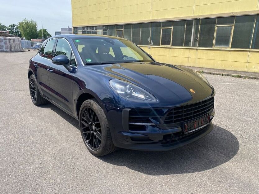 Macan