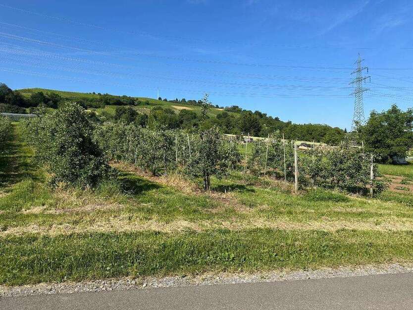 Wohnung zum Kaufen in Weinstadt-Beutelsbach 379.000 € 90 m² 4 zimmer