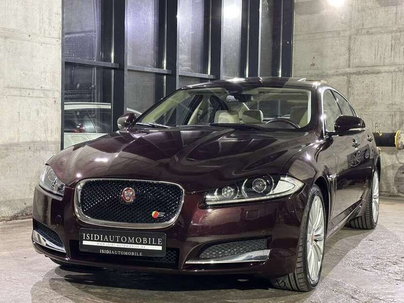 XF