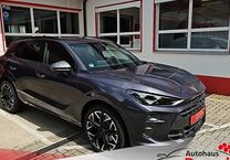Gebrauchtwagen Cupra Terramar
