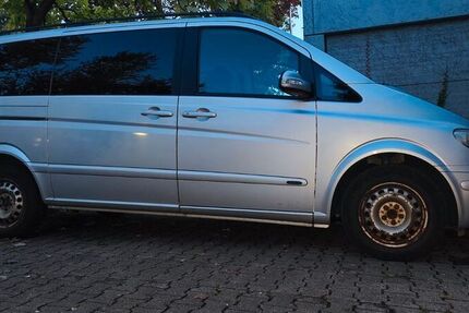 Mercedes Viano