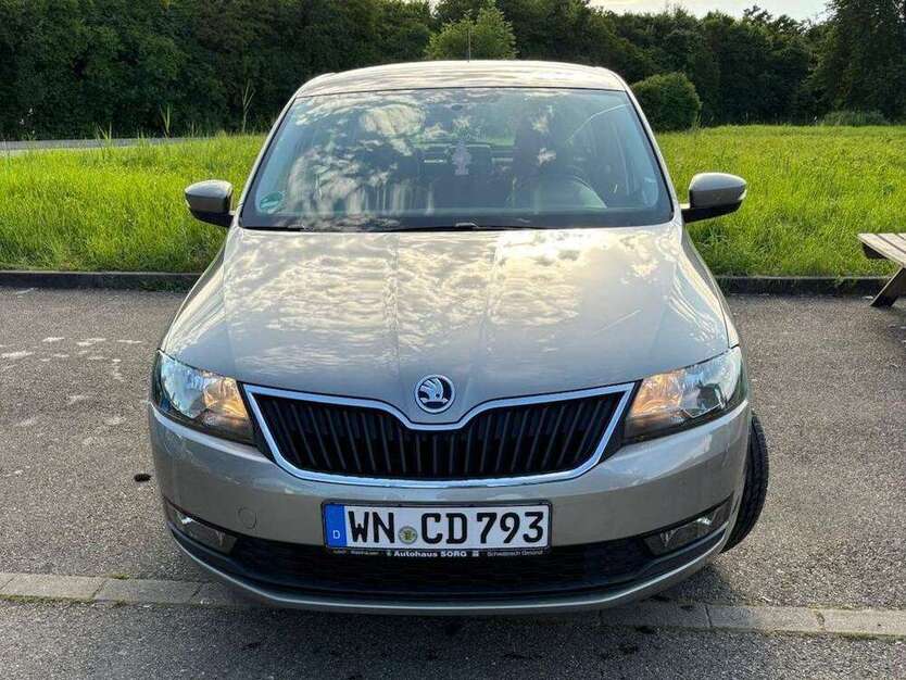 Rapid/Spaceback