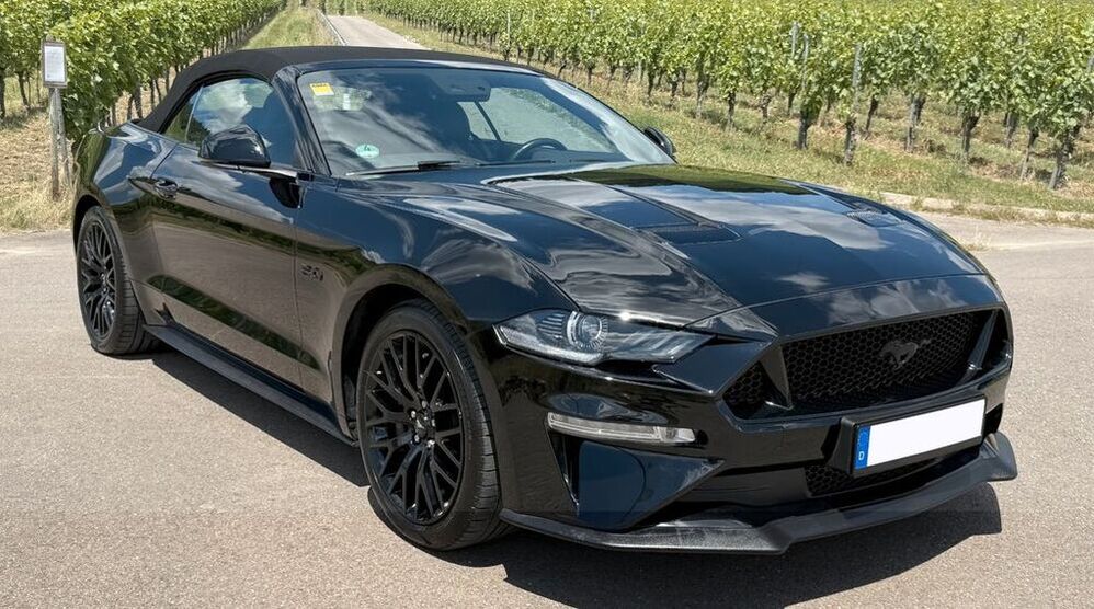Mustang