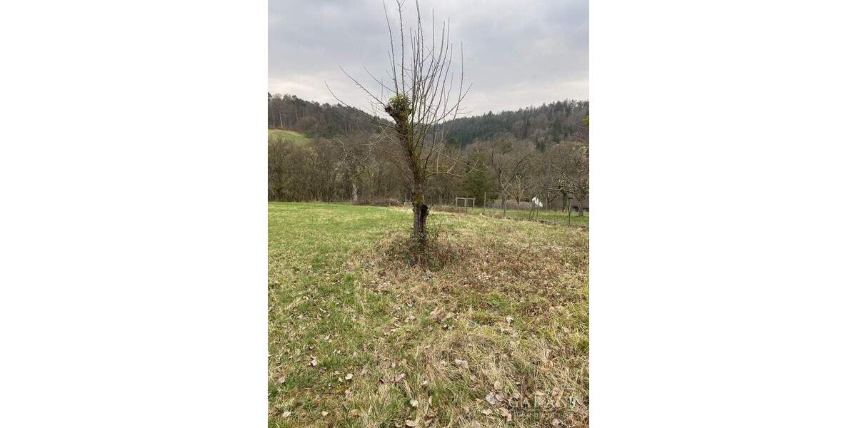 # Freizeit-Grundstück in Weinstadt-Baach # zimmer