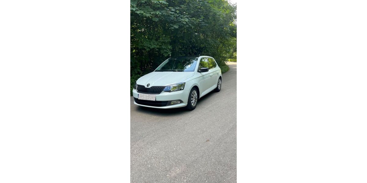 Skoda Fabia 92.000 km 7.000 &euro; Altbach 73776