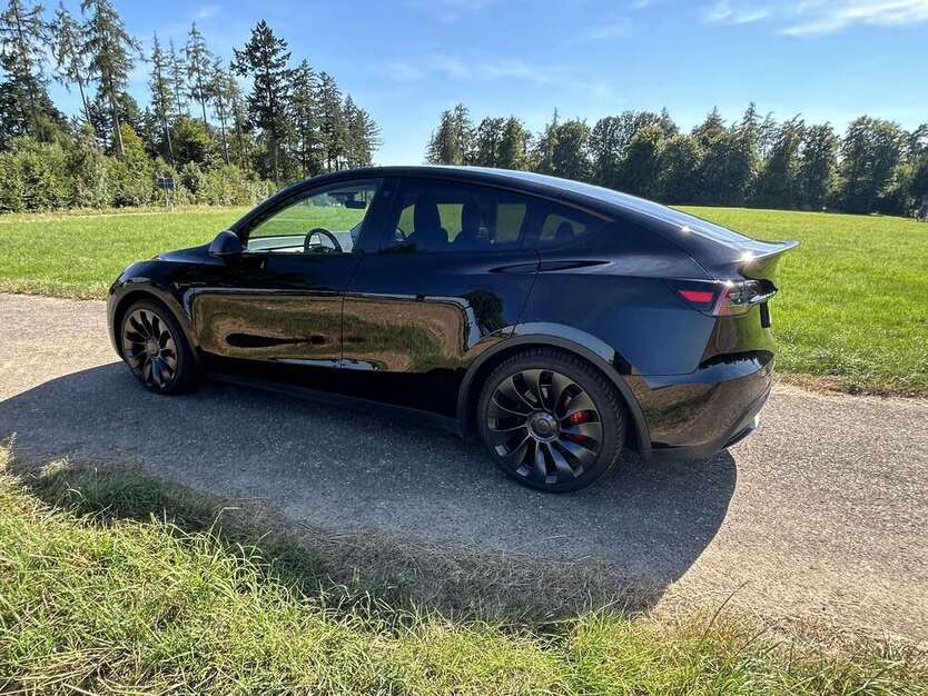 Model Y