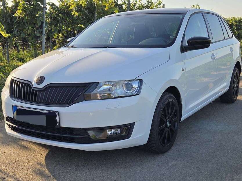 Rapid/Spaceback