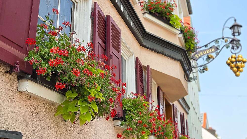 Gewerbeobjekt Stuttgart Stuttgart-Ost - 2.620&euro; | Angebot:27201510