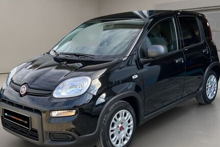 Fiat Panda 21.600 km 11.490 € Ebersbach 73061