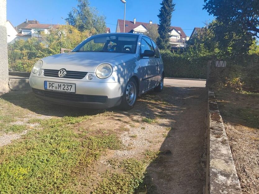Lupo