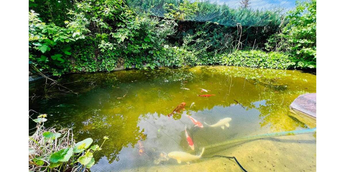 Mehrfamilienhaus, Wohnhaus Schwieberdingen - 8 Zimmer, 202 m&sup2;, 950.000&euro; | Angebot:19342709