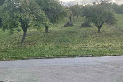 Freizeitgrundstück Gartengrundstück Stuttgart Esslingen Sonnenlag zimmer