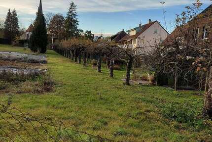 Wohnung zum Kaufen in Stuttgart 332.500 € 76 m² 3 zimmer