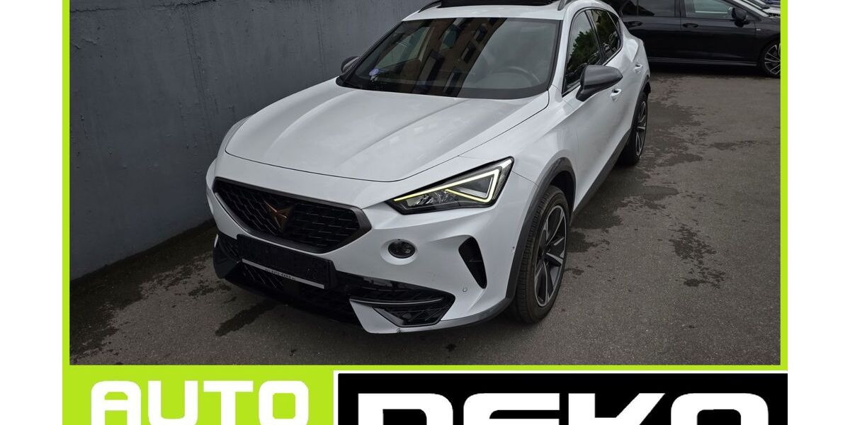 Cupra Formentor 113.264 km 22.470 &euro; Waiblingen 71332