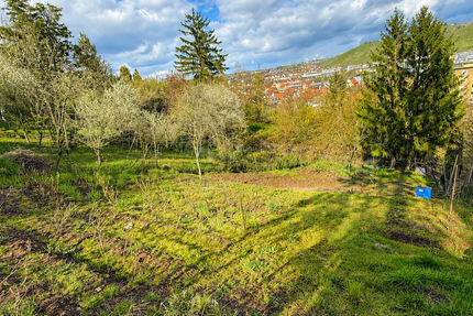 Grundstück Stuttgart Luginsland - 17.000&euro; | Angebot:26096094