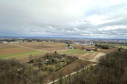 Wohnung zum Mieten in Stuttgart 1.100 € 50 m² 2 zimmer