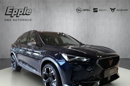 Cupra Formentor 24.230 km 29.890 &euro; Rutesheim 71277